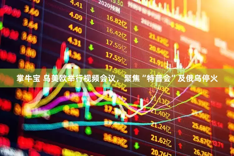 掌牛宝 乌美欧举行视频会议，聚焦“特普会”及俄乌停火